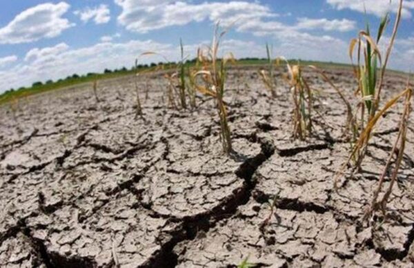 Sequía: hay siete millones de hectáreas afectadas