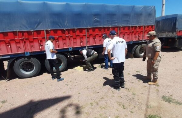 Comercialización de granos fraudulentas: AFIP secuestró casi 600 toneladas