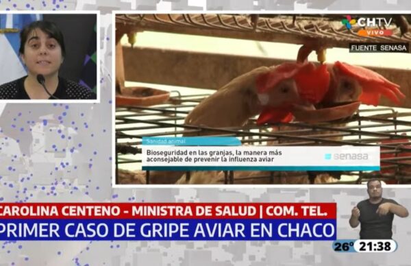Ante el primer caso de gripe aviar en Chaco, instan a extremar medidas de prevención 2