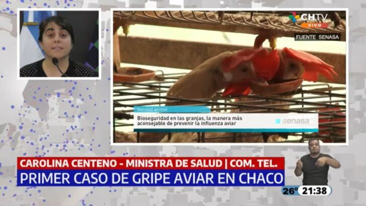 Ante el primer caso de gripe aviar en Chaco, instan a extremar medidas de prevención