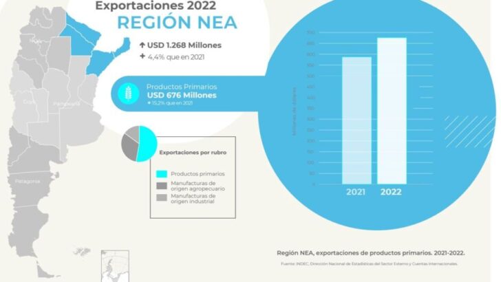 Chaco lideró en 2022 el volumen de exportaciones en el NEA