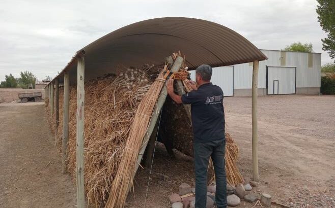Mendoza: AFIP incautó 75 toneladas de ajo