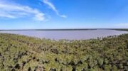 Parque Nacional Laguna El Palmar: Chaco se consolida como la provincia con más áreas protegidas