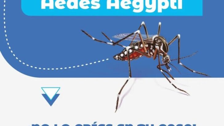 Por el brote de dengue, Salud Pública reitera la importancia de las medidas preventivas