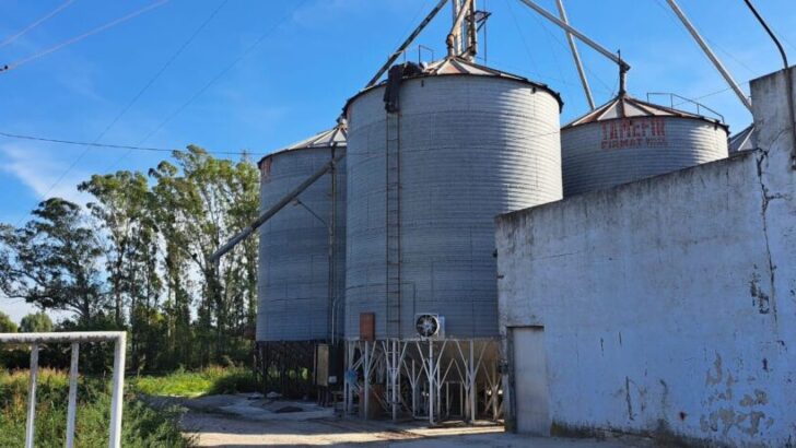 AFIP secuestró 100 toneladas de maíz a una firma avícola