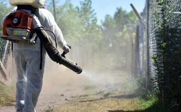 Salud Pública informa parte epidemiológico del Dengue