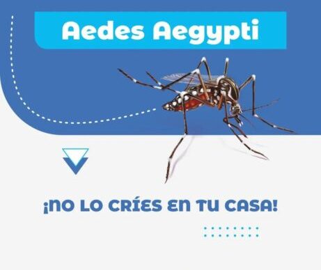 Salud Pública: 623 casos positivos de Dengue y 23 de Chikungunya