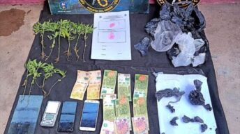 Machagai: detienen a un hombre con plantas de cannabis y bochitas de marihuana