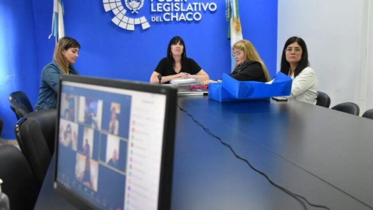 La Comisión de Género analiza la adhesión a la Ley Lucio