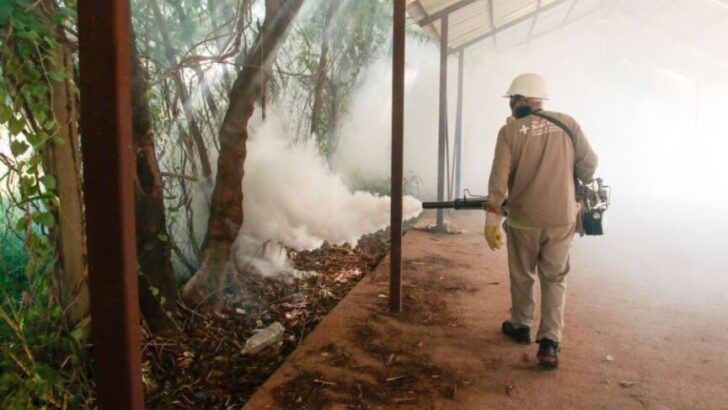 La Dirección de Epidemiología refuerza acciones con el objetivo de prevenir casos de dengue