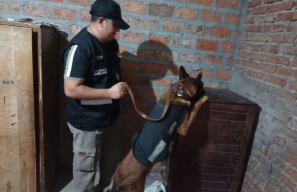 Corzuela: la Policía del Chaco desbarató bunker de drogas 3