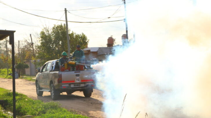 Resistencia: el programa “Chau Mosquito” fumigó más de 250 barrios, además de instituciones públicas y privadas