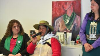 Contra la reforma constitucional de Jujuy: feministas e indígenas en pie de lucha