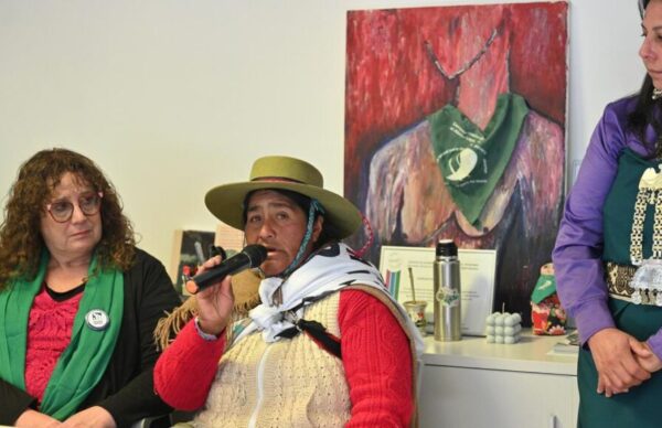 Contra la reforma constitucional de Jujuy: feministas e indígenas en pie de lucha 1