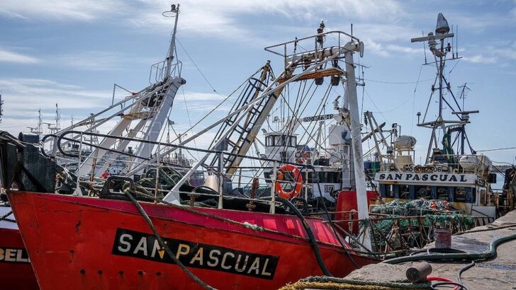El sector pesquero tuvo un crecimiento interanual del 3,6% en junio