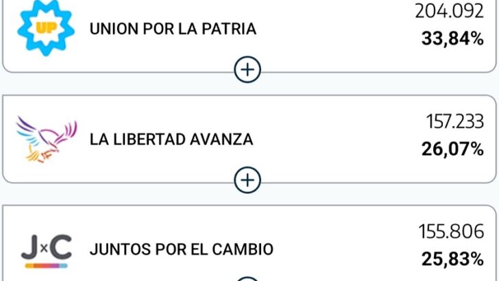En Chaco, Massa fue el candidato más votado