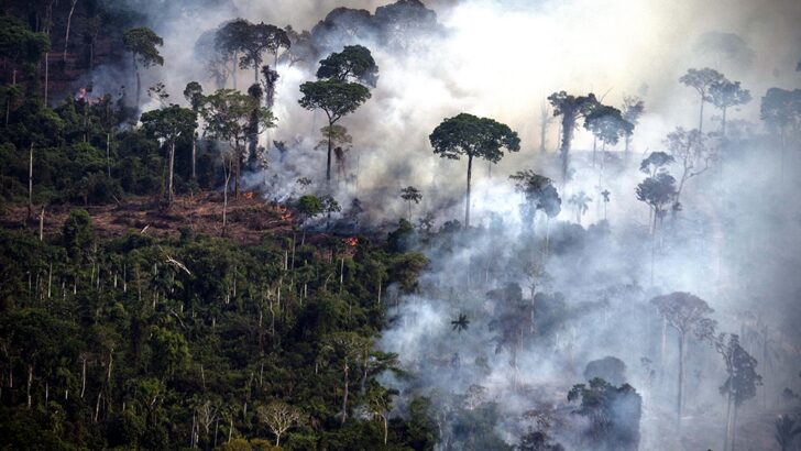 La diplomacia del cambio climático pone primera en la Cumbre Amazónica