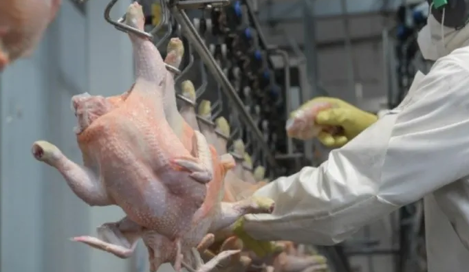 La Unión Europea reabre las exportaciones de carne aviar argentina