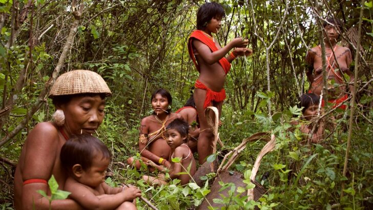 Tierras ancestrales: máximo tribunal de Brasil falló a favor de indígenas