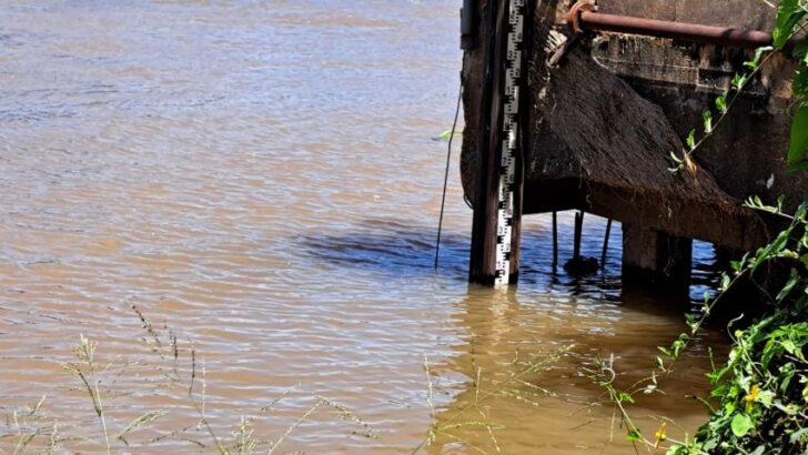 Emergencia hídrica: el Paraná llegó a su nivel de alerta y seguirá creciendo