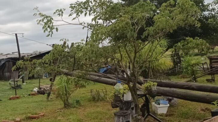Zonas rurales: Secheep continúa con las reparaciones de los daños del fuerte temporal