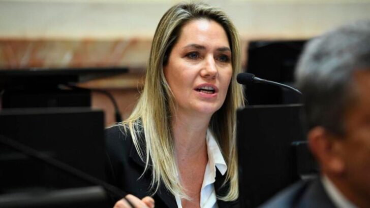 Carolina Losada: JxC está dispuesto a apoyar el DNU