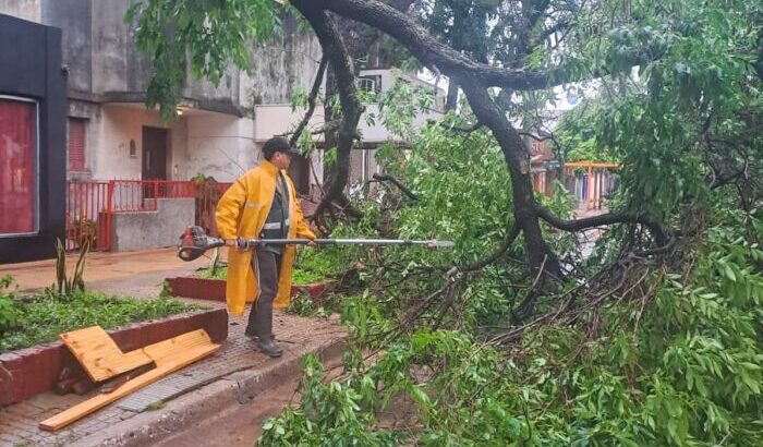 Municipalidad de Resistencia ejecuta intensos trabajos tras el fuerte temporal