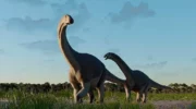 Chubut: científicos del Conicet descubren restos de un titanosaurio