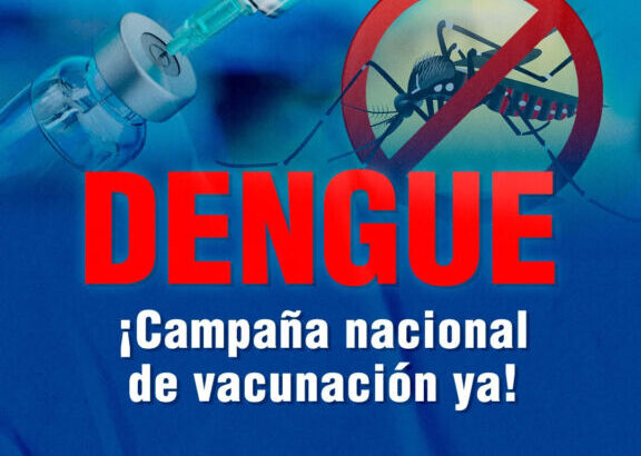 Contra el dengue: Libres del Sur exige campaña nacional de vacunación