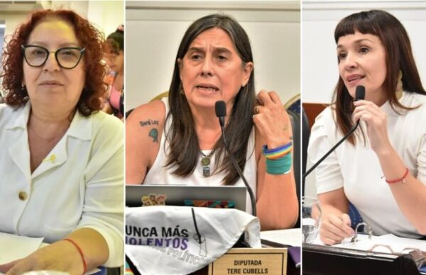 Proponen la creación del Ministerio de Derechos Humanos, Mujeres, Géneros y Diversidad de la provincia del Chaco