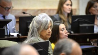 Régimen de Tarifa Diferencial Eléctrica: Pilatti Vergara presentó proyecto en el Senado de la Nación