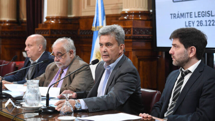 Víctor Zimmermann: “ya se analizaron 89 DNUs de las últimas 3 administraciones”