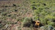 Greenpeace irá a la Corte denunciando la ilegalidad del Ordenamiento de Bosques de Chaco